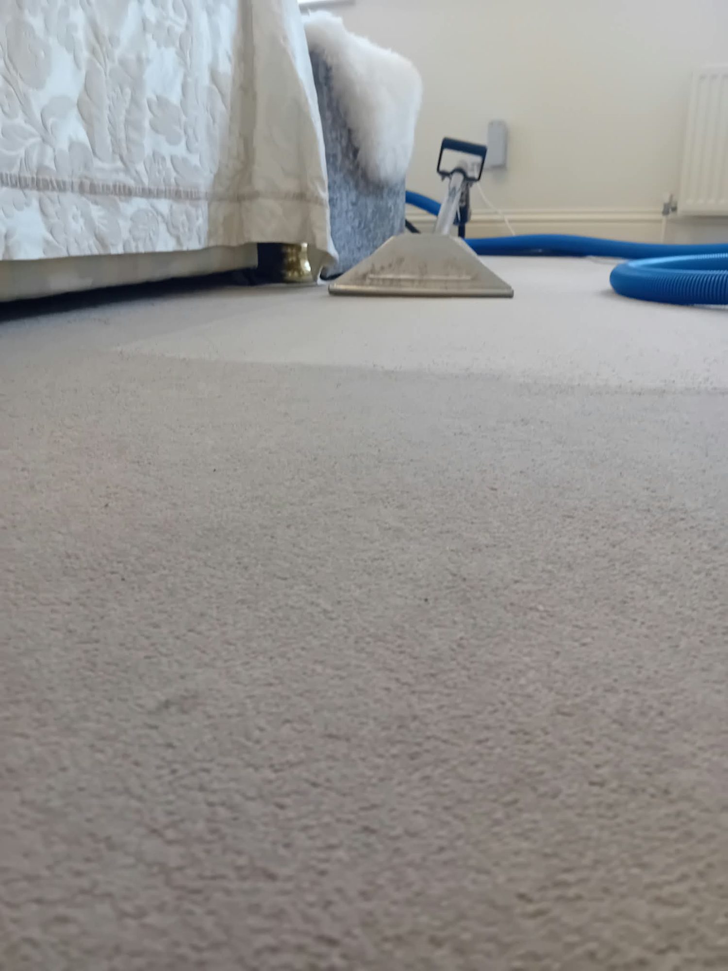 Cream lounge carpet part-way through hot-water extraction cleaning, showing the cleaned section against soiled pile