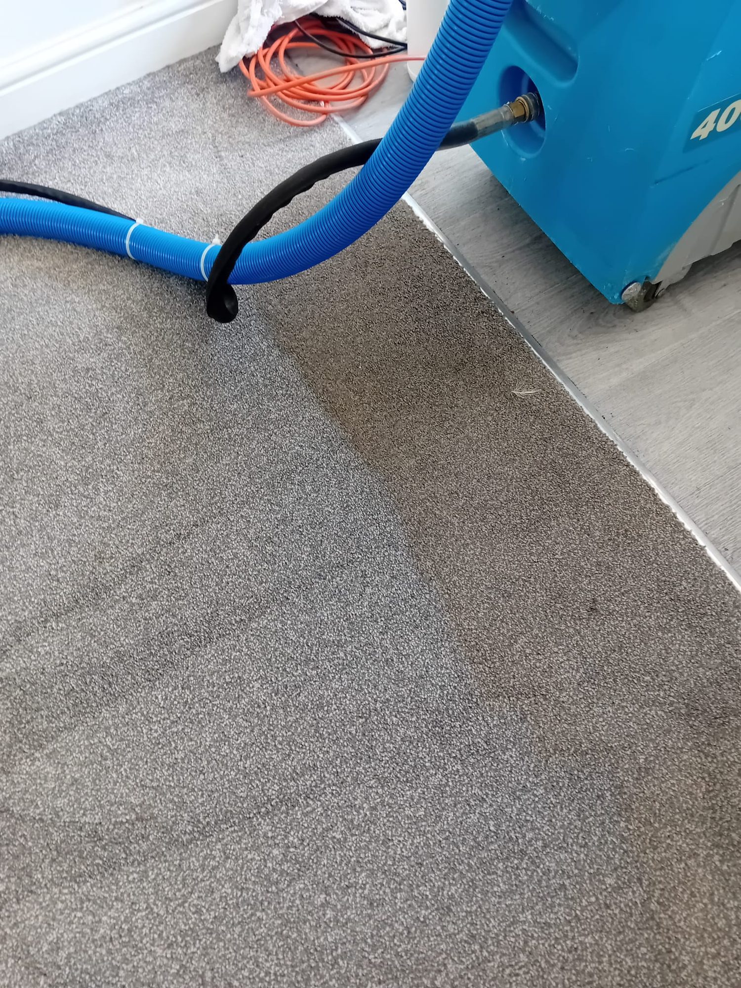 Grey carpet being deep cleaned with a portable hot-water extraction machine in a North London home