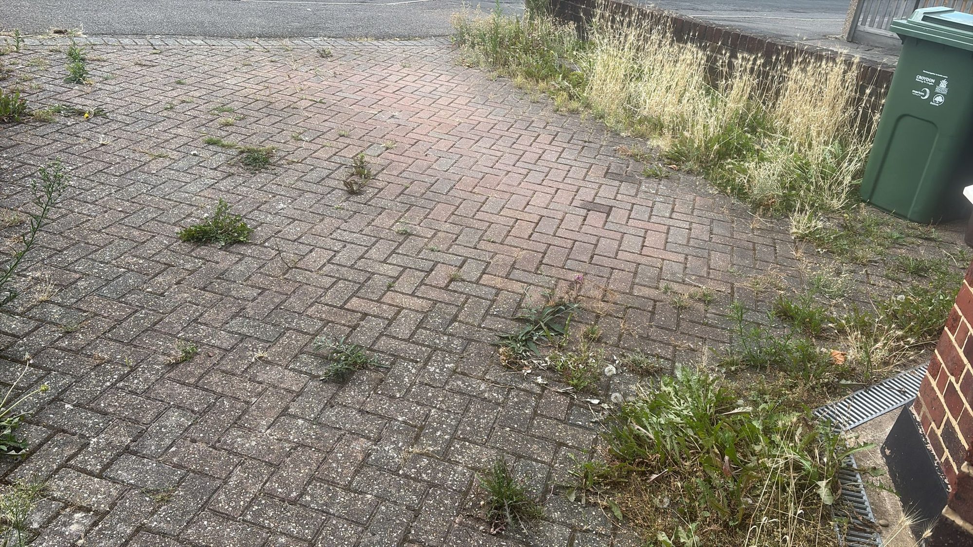 Weed-covered block paving driveway before professional pressure washing and weed removal