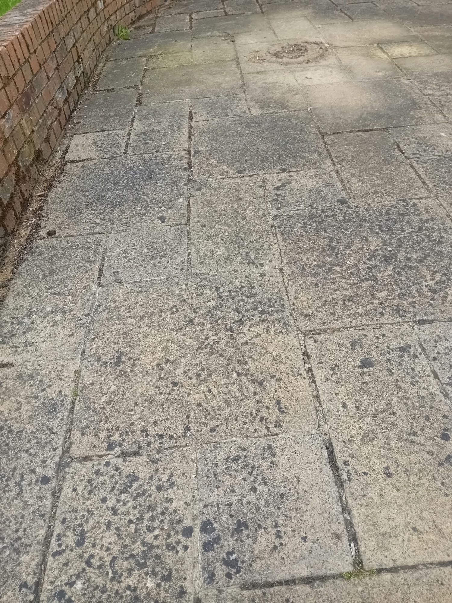 Moss-stained concrete patio slabs before driveway and patio cleaning treatment