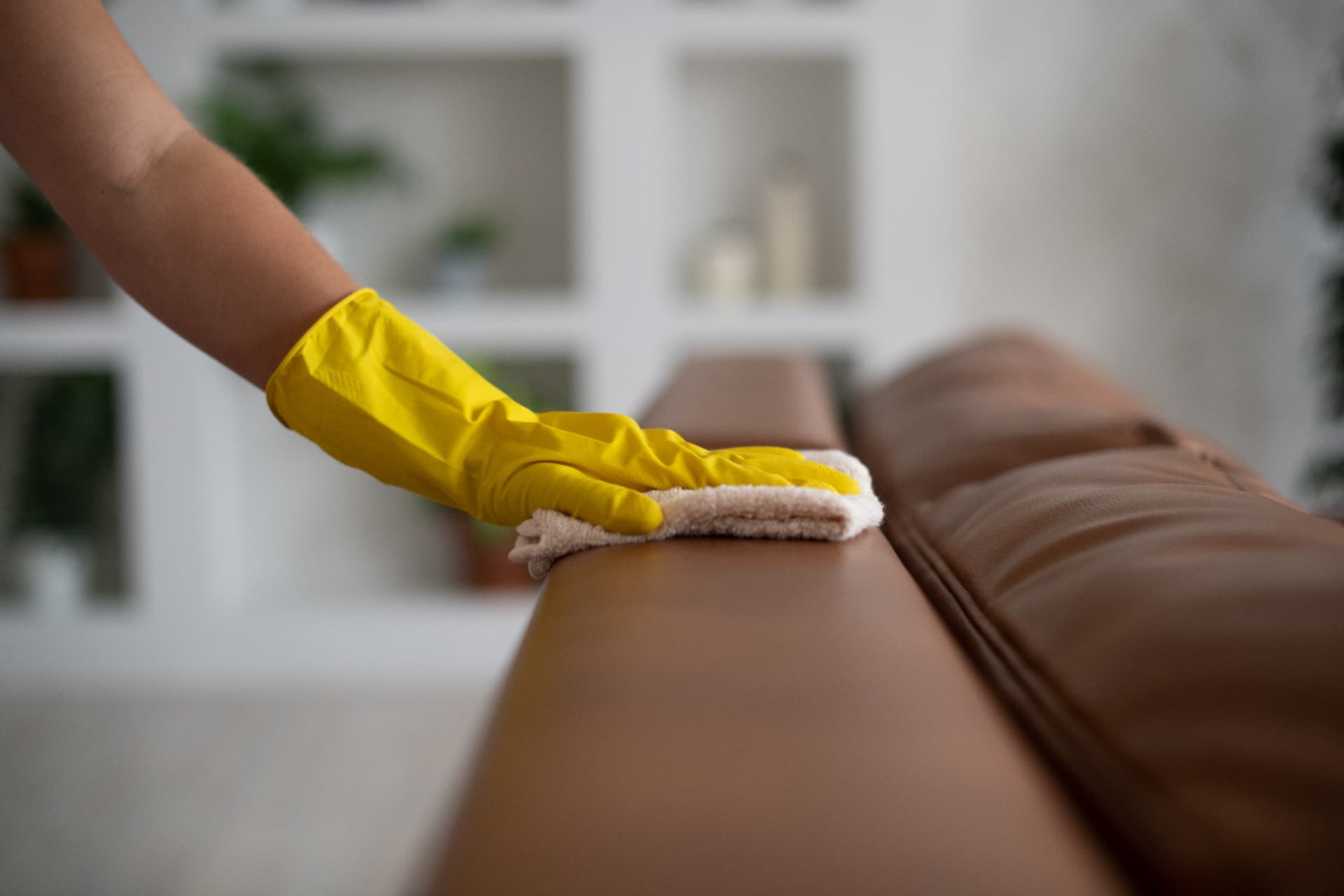 Leather sofa being cleaned and conditioned by hand with a soft cloth in a bright living room